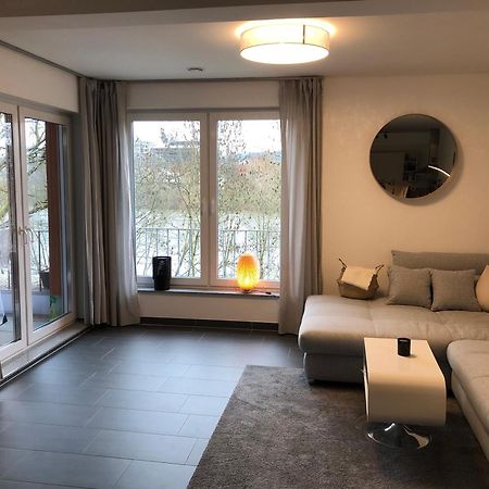 Schickes Apartment Mit Moselblick Трир Экстерьер фото